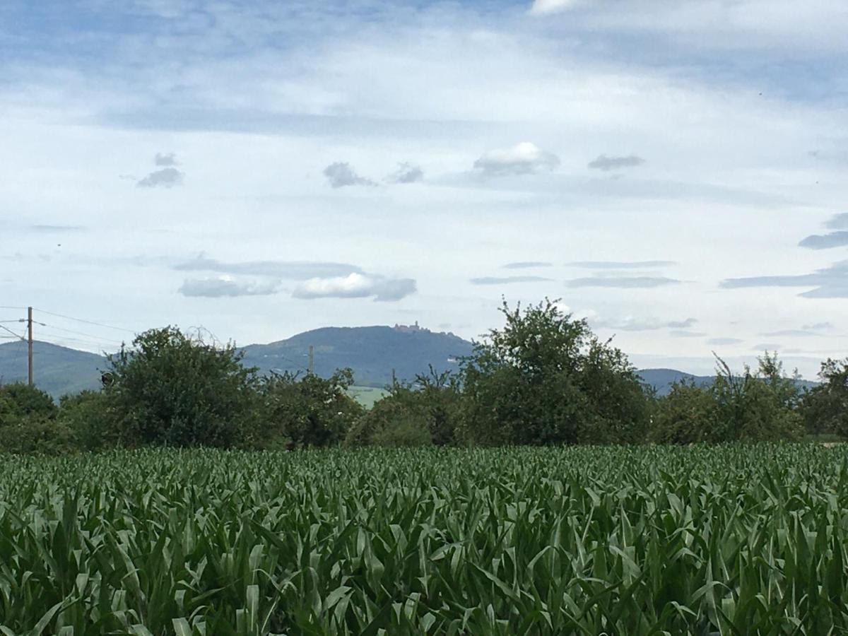 Gite D'Alsace L'Escale Устхайм Екстериор снимка