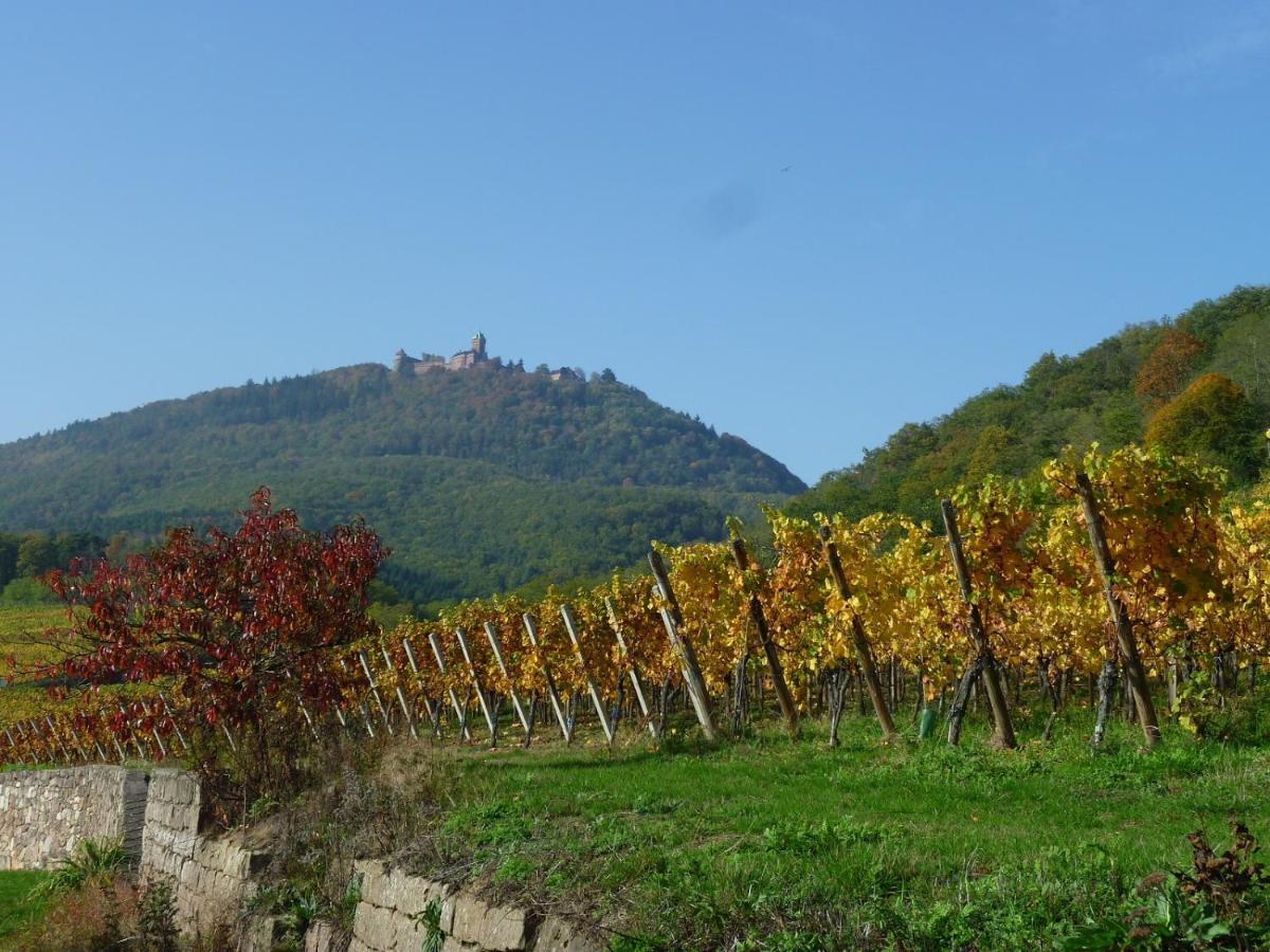 Gite D'Alsace L'Escale Устхайм Екстериор снимка